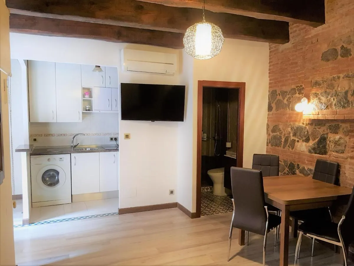 Apartamentos Alcantara Toledo España