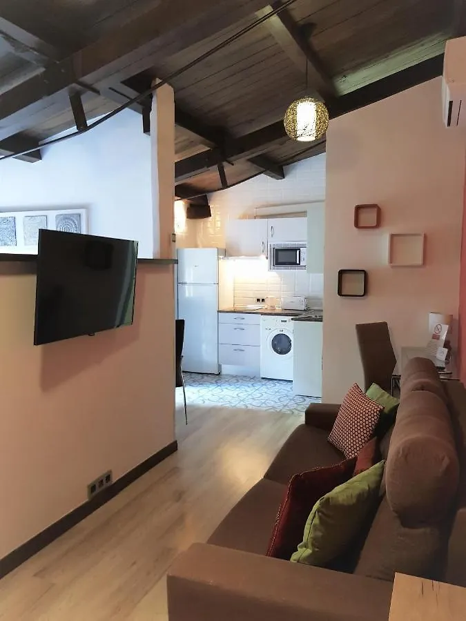 Apartamentos Alcantara Toledo Apartment