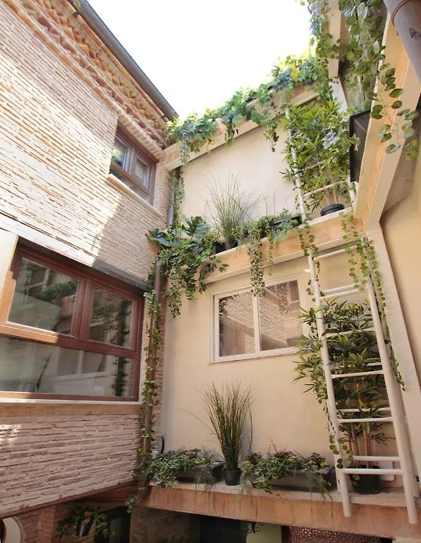 Apartamentos Alcantara Tolède
